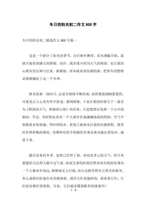 冬日的阳光初二作文600字
