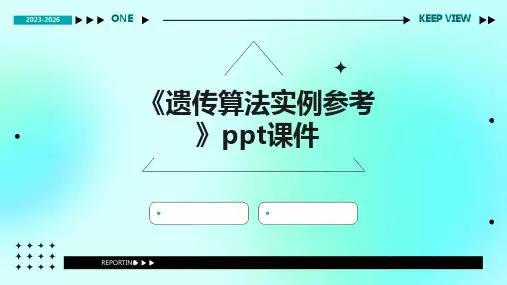 《遗传算法实例参考》课件