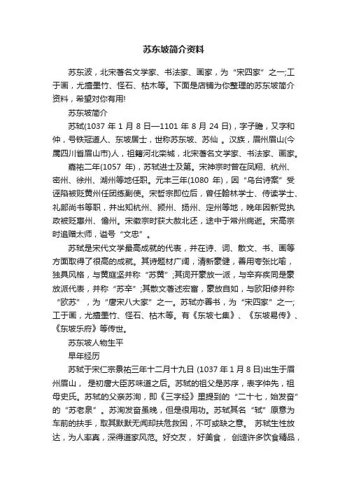 苏东坡简介资料