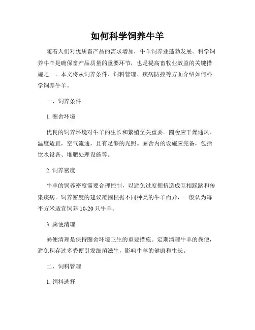 如何科学饲养牛羊