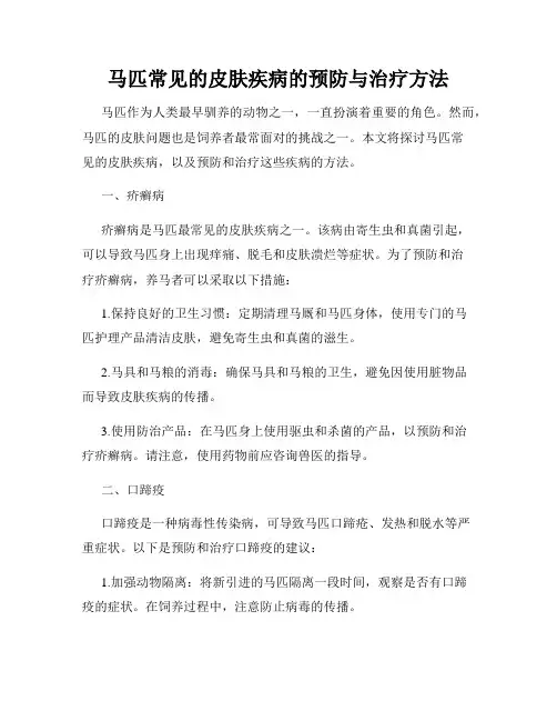 马匹常见的皮肤疾病的预防与治疗方法