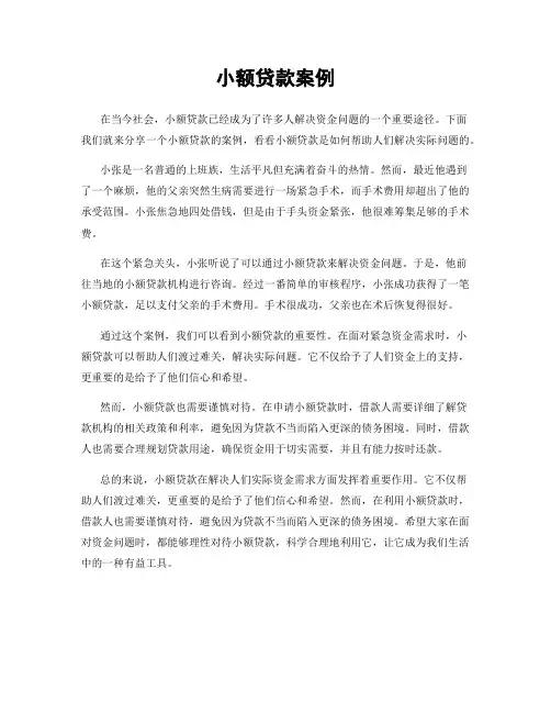小额贷款案例