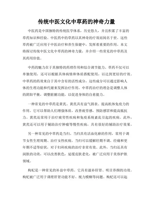 传统中医文化中草药的神奇力量
