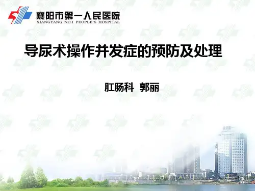 导尿操作并发症预防与处理PPT课件