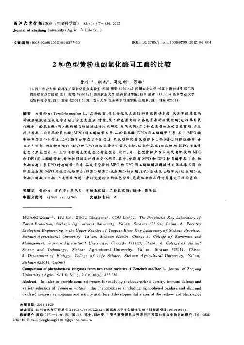 2种色型黄粉虫酚氧化酶同工酶的比较