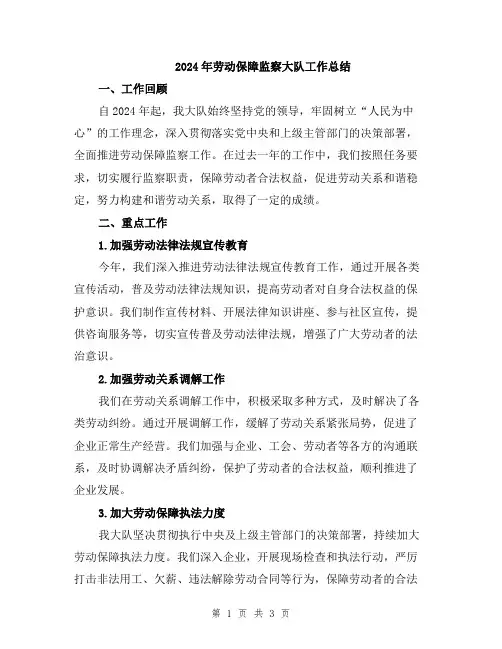 2024年劳动保障监察大队工作总结