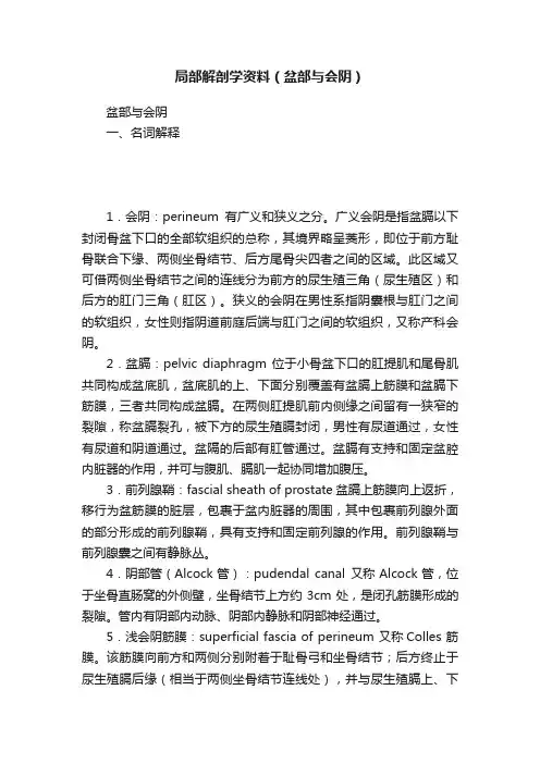 局部解剖学资料（盆部与会阴）