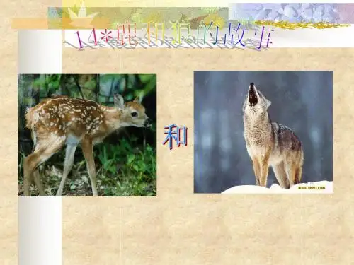 《鹿和狼的故事》ppt课件