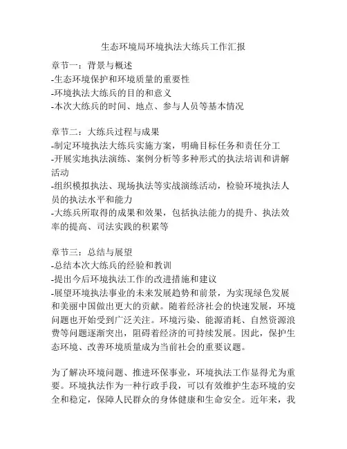 生态环境局环境执法大练兵工作汇报