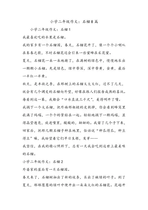 小学二年级作文：石榴8篇.doc