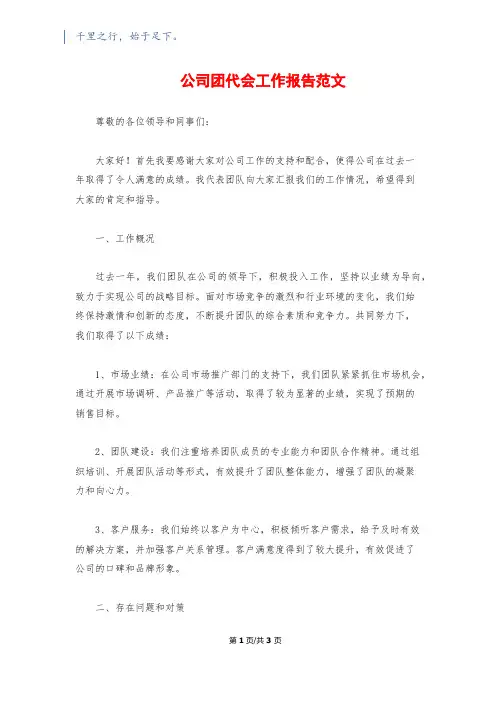 公司团代会工作报告范文