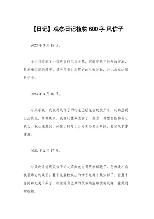 【日记】观察日记植物600字 风信子