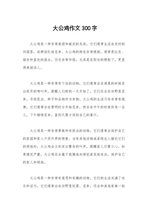 大公鸡作文300字
