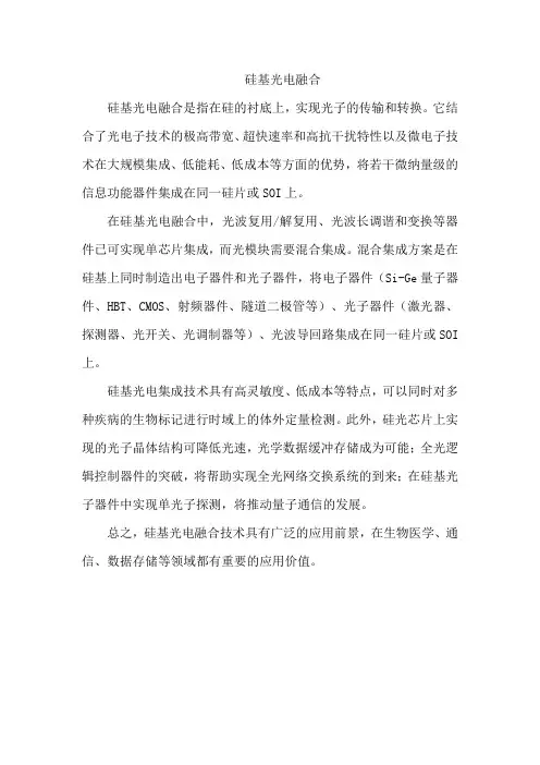 硅基光电融合