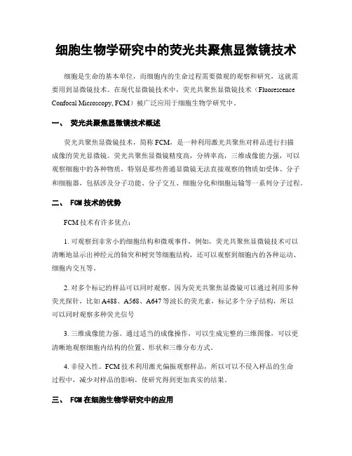 细胞生物学研究中的荧光共聚焦显微镜技术