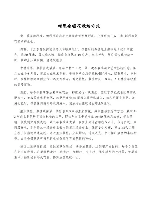 树型金银花栽培方式