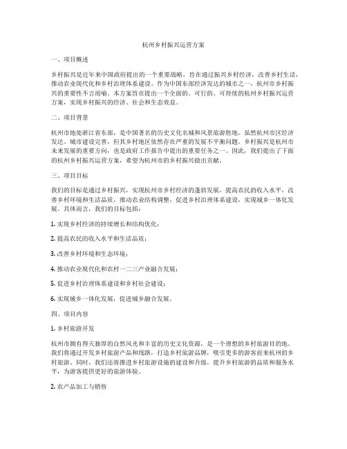 杭州乡村振兴运营方案