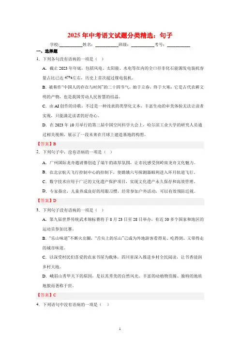 2025年中考语文试题分类精选：句子