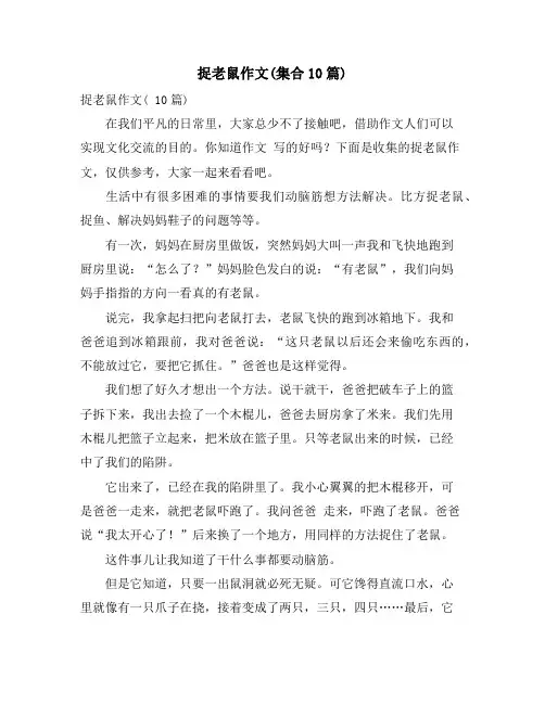 捉老鼠作文(集合10篇)