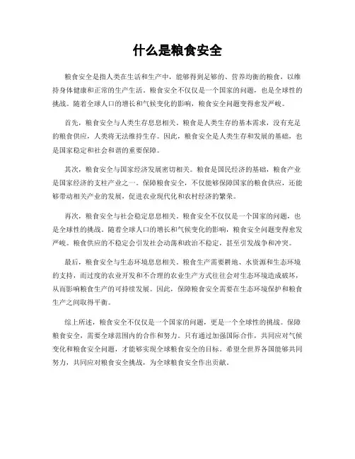 什么是粮食安全
