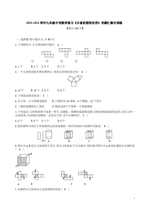 2023-2024学年九年级中考数学复习《丰富的图形世界》考题汇集专项练附答案解析