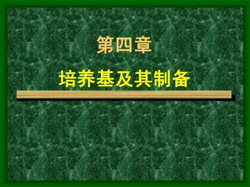 生物工艺学第四章
