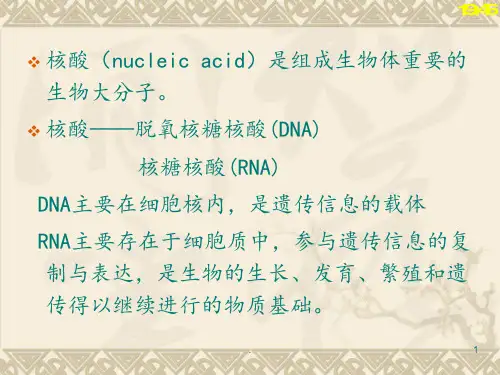 生物化学-第3章-核酸的结构与功能PPT课件