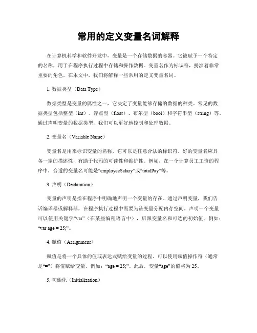 常用的定义变量名词解释