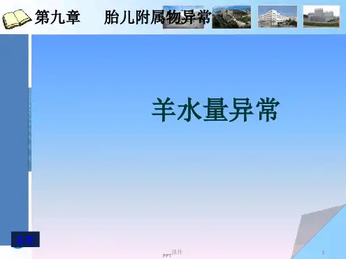 羊水量异常ppt课件