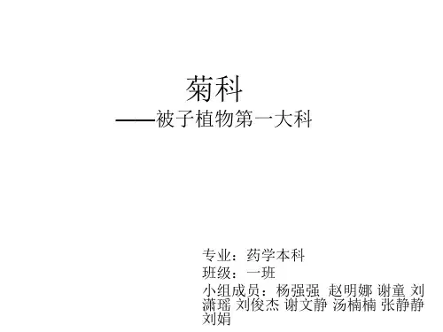 药用植物学 菊科