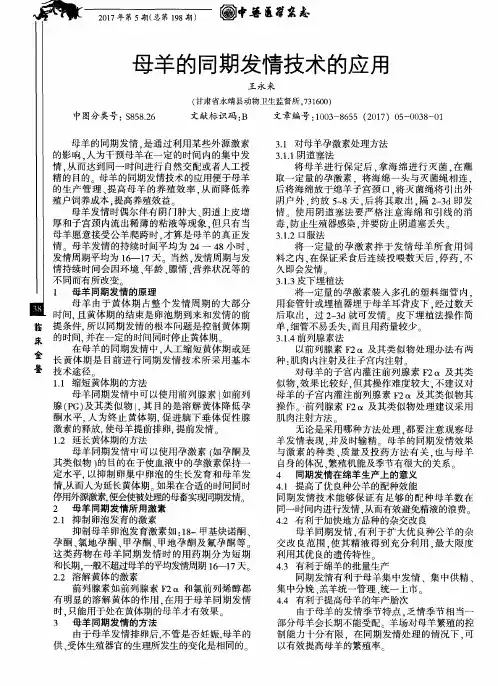 母羊的同期发情技术的应用