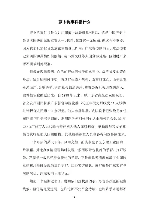 萝卜坑事件指什么