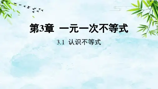 3.1 认识不等式八年级上册数学浙教版