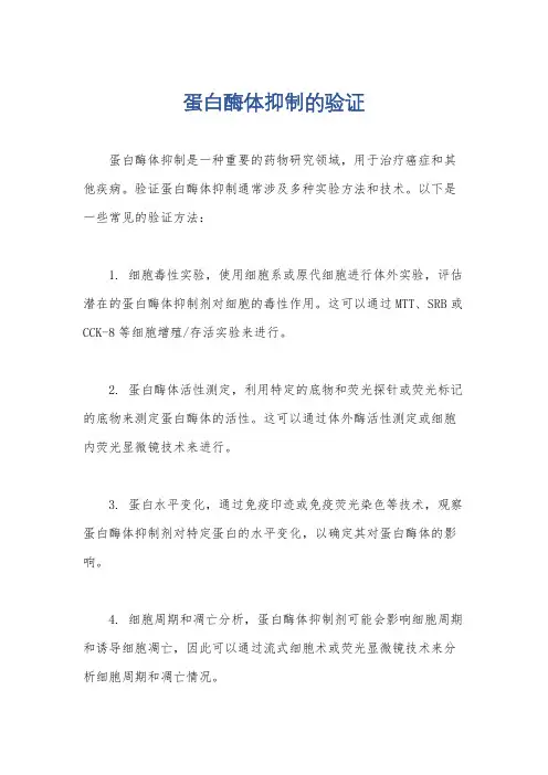 蛋白酶体抑制的验证
