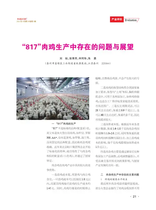“817”肉鸡生产中存在的问题与展望