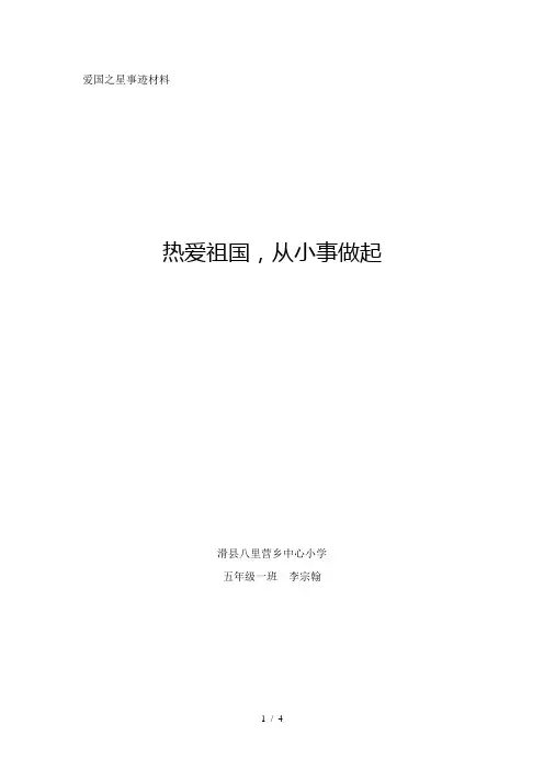爱国之星申报材料