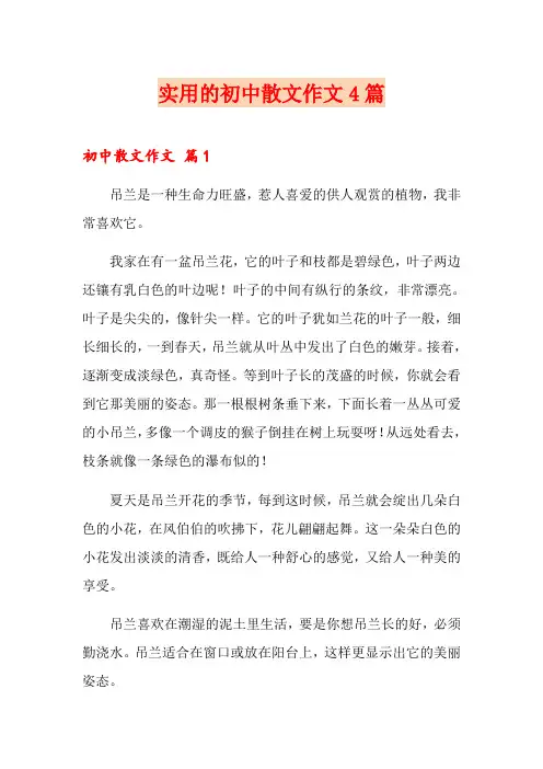 实用的初中散文作文4篇