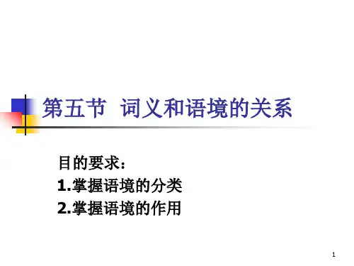 词义和语境的关系-文档资料