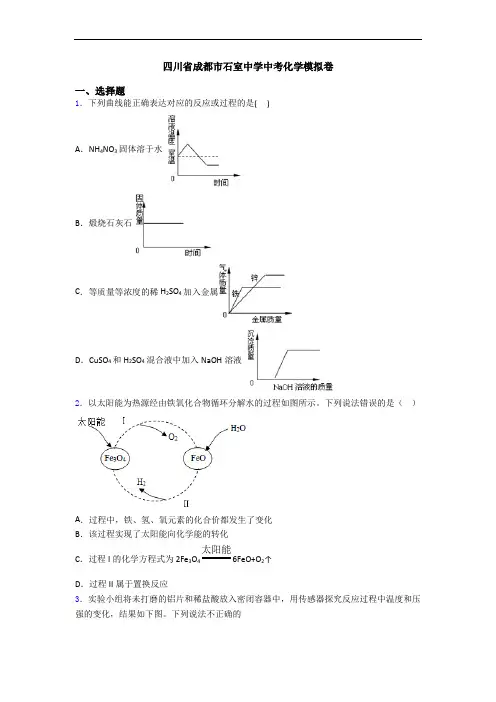 四川省成都市石室中学中考化学模拟卷
