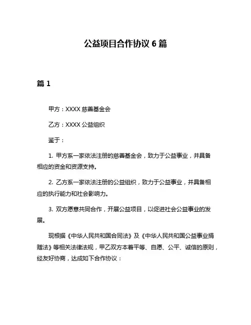 公益项目合作协议6篇