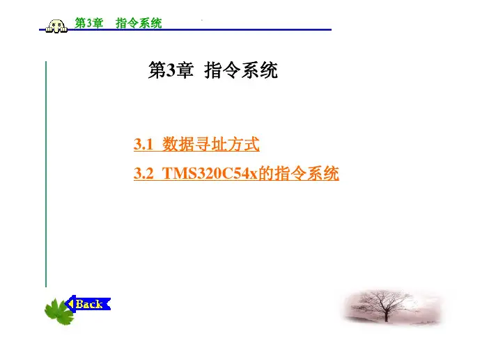 [计算机硬件及网络]TMS320C54DSP原理应用第3章