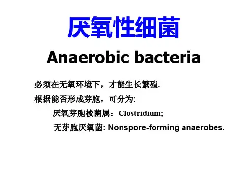 临床医学微生物学PPT12、厌氧性细菌课件