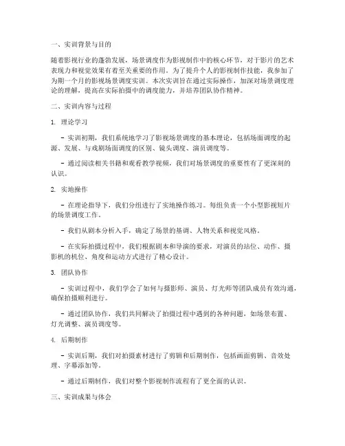 影视场景调度实训报告总结