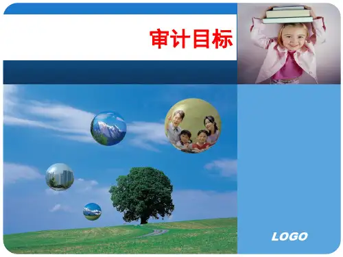 专题3：审计目标 审计重要性与审计风险