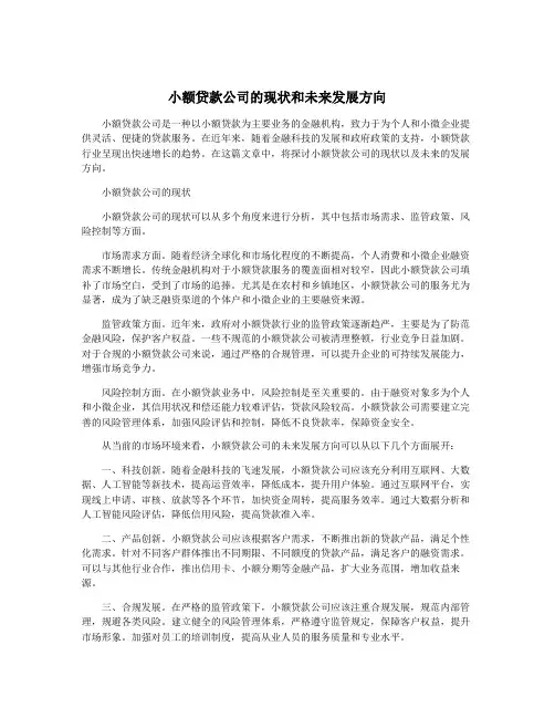 小额贷款公司的现状和未来发展方向