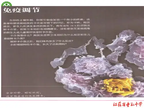高中生物 高三一轮免疫调节课件