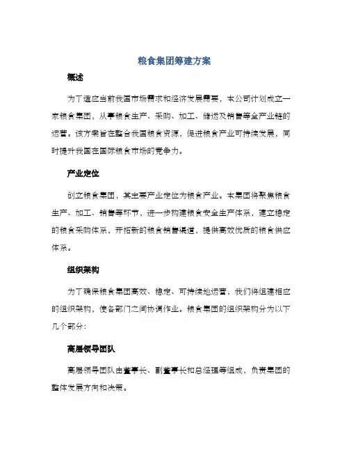 粮食集团筹建方案