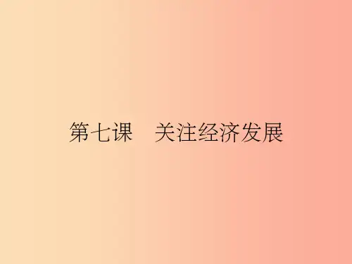 九年级政治全册 第三单元 融入社会 肩负使命 第七课 关注经济发展 第1框 造福人民的经济制度 新人