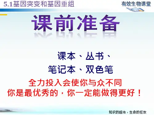 人教版新教材《基因突变和基因重组》完美ppt课件