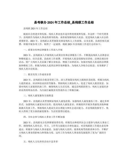 县考核办2024年工作总结_县残联工作总结